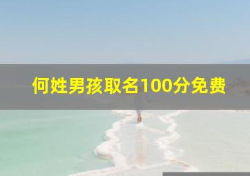 何姓男孩取名100分免费