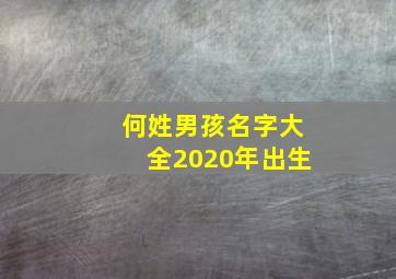 何姓男孩名字大全2020年出生