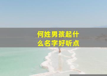 何姓男孩起什么名字好听点