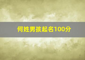 何姓男孩起名100分