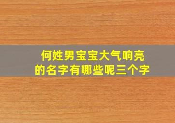 何姓男宝宝大气响亮的名字有哪些呢三个字