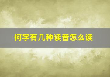 何字有几种读音怎么读