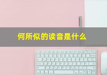 何所似的读音是什么