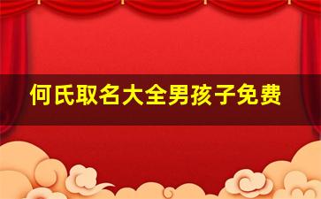 何氏取名大全男孩子免费