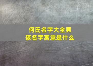 何氏名字大全男孩名字寓意是什么