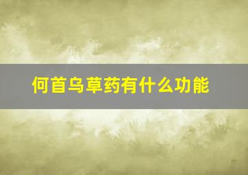 何首乌草药有什么功能