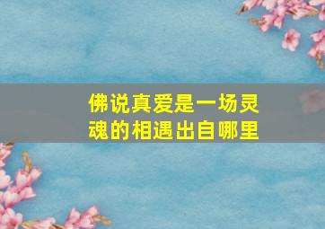 佛说真爱是一场灵魂的相遇出自哪里