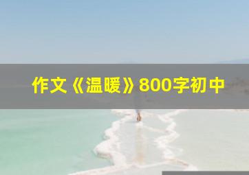 作文《温暖》800字初中