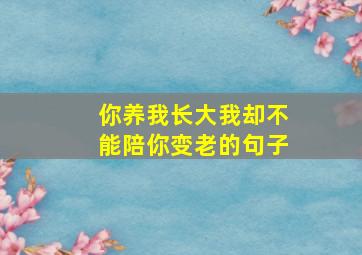 你养我长大我却不能陪你变老的句子