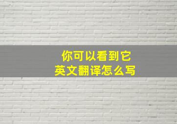 你可以看到它英文翻译怎么写