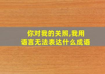 你对我的关照,我用语言无法表达什么成语