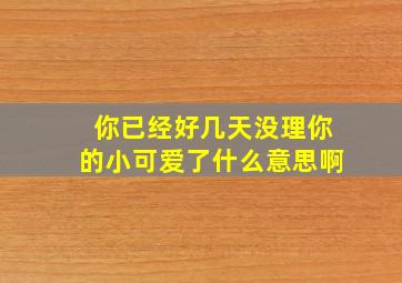 你已经好几天没理你的小可爱了什么意思啊