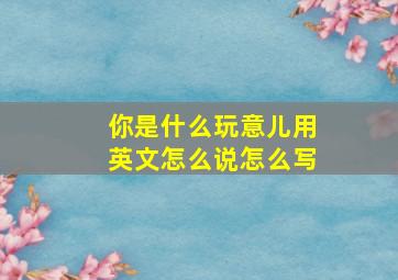 你是什么玩意儿用英文怎么说怎么写