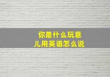 你是什么玩意儿用英语怎么说