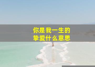 你是我一生的挚爱什么意思