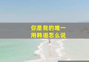 你是我的唯一用韩语怎么说