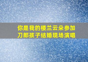 你是我的楼兰云朵参加刀郎孩子结婚现场演唱