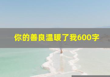 你的善良温暖了我600字