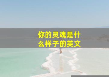 你的灵魂是什么样子的英文