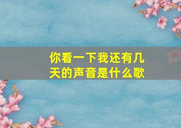 你看一下我还有几天的声音是什么歌