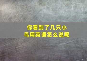 你看到了几只小鸟用英语怎么说呢