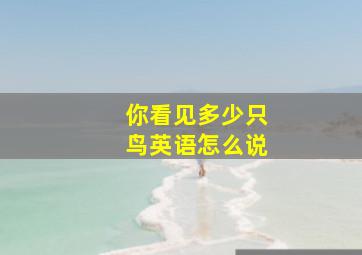 你看见多少只鸟英语怎么说