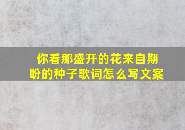 你看那盛开的花来自期盼的种子歌词怎么写文案