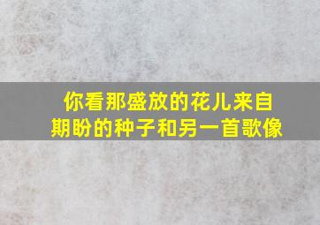 你看那盛放的花儿来自期盼的种子和另一首歌像