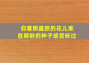 你看那盛放的花儿来自期盼的种子感觉听过