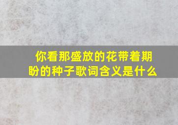 你看那盛放的花带着期盼的种子歌词含义是什么