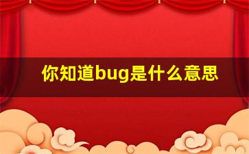 你知道bug是什么意思