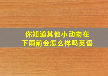 你知道其他小动物在下雨前会怎么样吗英语