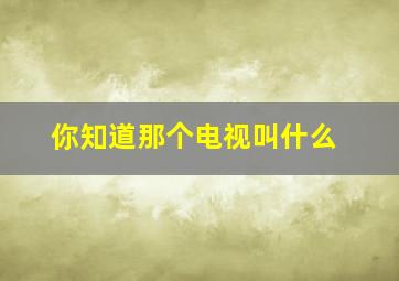 你知道那个电视叫什么