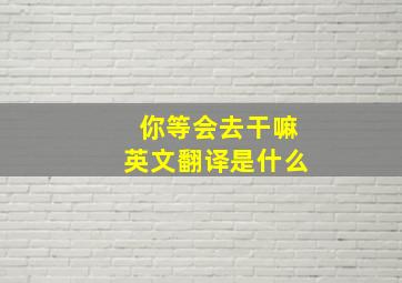 你等会去干嘛英文翻译是什么