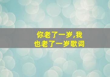 你老了一岁,我也老了一岁歌词