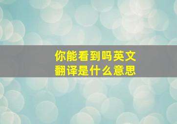 你能看到吗英文翻译是什么意思