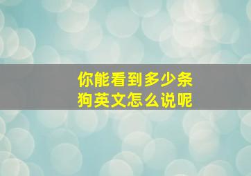 你能看到多少条狗英文怎么说呢