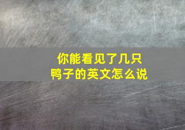 你能看见了几只鸭子的英文怎么说