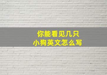 你能看见几只小狗英文怎么写