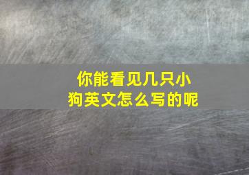 你能看见几只小狗英文怎么写的呢