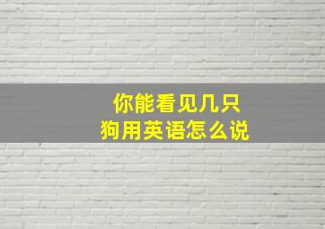 你能看见几只狗用英语怎么说