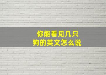 你能看见几只狗的英文怎么说