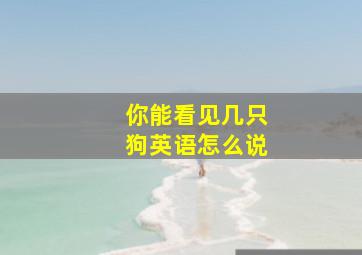 你能看见几只狗英语怎么说