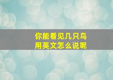 你能看见几只鸟用英文怎么说呢