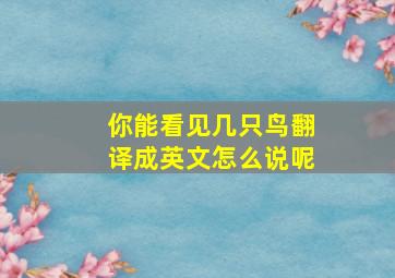 你能看见几只鸟翻译成英文怎么说呢