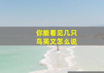 你能看见几只鸟英文怎么说