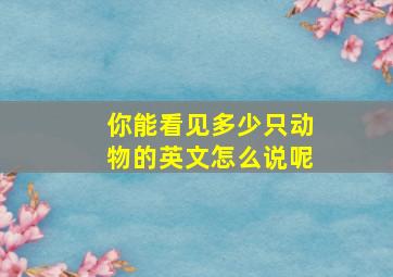 你能看见多少只动物的英文怎么说呢