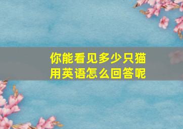 你能看见多少只猫用英语怎么回答呢