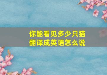 你能看见多少只猫翻译成英语怎么说