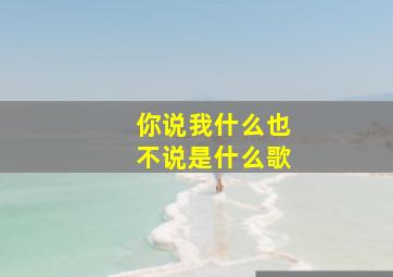 你说我什么也不说是什么歌